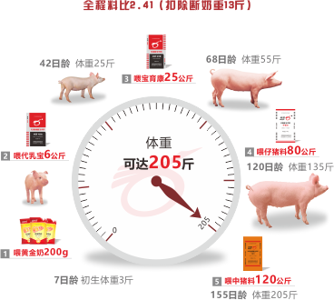 625全程饲喂模式 625全程饲喂模式